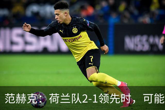 范赫克：荷兰队2-1领先时，可能退得太深了